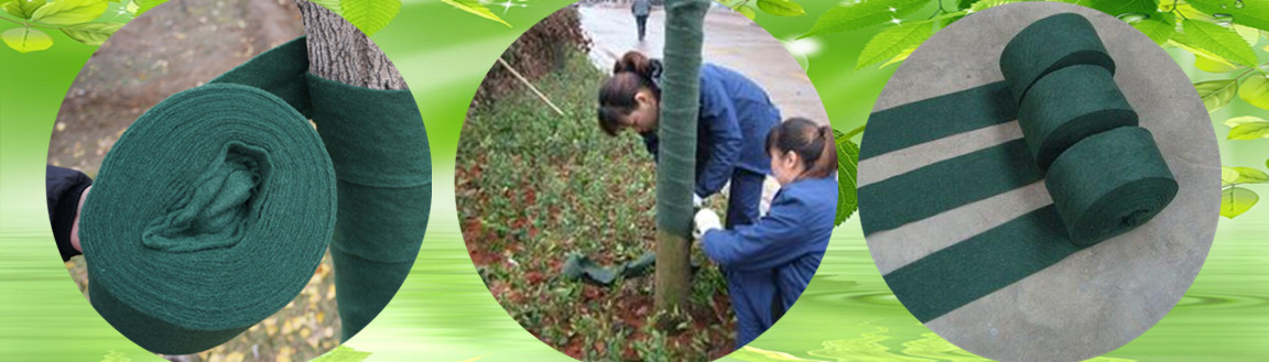 园林绿化树木价格表大全最新