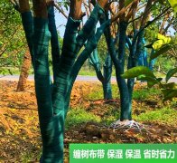 树木保温带一个也是**价
